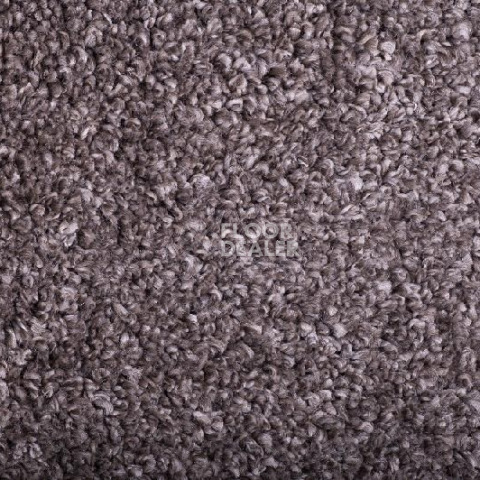 Ковролин Tarkett Diva 11181 фото 1 | FLOORDEALER