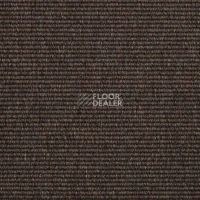 Ковролин Carpet Concept Yve 1 6503 фото 1 | FLOORDEALER