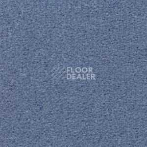 Ковролин Radici Montecarlo 25 фото 1 | FLOORDEALER