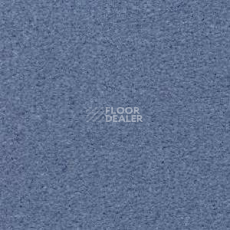 Ковролин Radici Montecarlo 25 фото 1 | FLOORDEALER