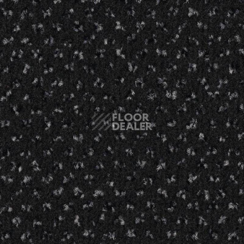 Ковровая плитка Balsan Impression Sonic Confort 998 фото 1 | FLOORDEALER