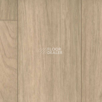 Линолеум Grabo Soundtex 5.0 4259_501_5 фото 1 | FLOORDEALER