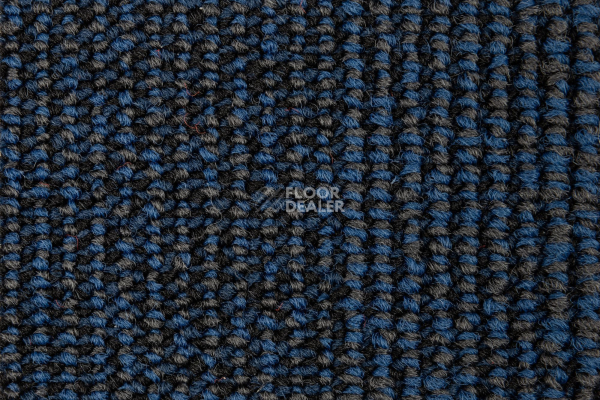 Escom Coral 5408 фото 2 | FLOORDEALER