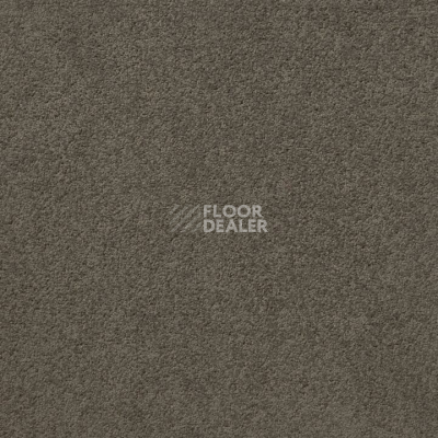 Ковролин Mountain View 4398 фото 1 | FLOORDEALER