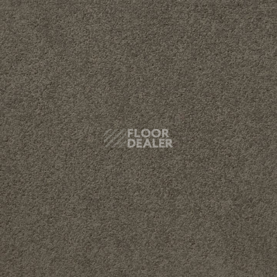 Ковролин Standard Carpets Mountain View 4398 фото 1 | FLOORDEALER