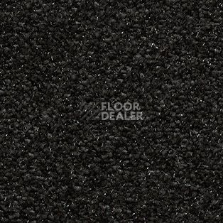 Ковролин AW Surprise 98 фото 1 | FLOORDEALER