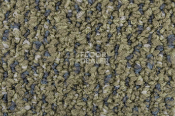 Desso Solid ac 73 7854 фото 4 | FLOORDEALER
