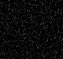 Ковролин Edel Vivaldi 199 фото 1 | FLOORDEALER