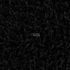 Edel Vivaldi 199 фото 1 | FLOORDEALER