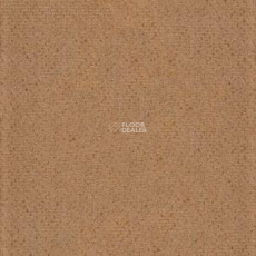 PVH Arena 2730 Beige фото 1 | FLOORDEALER