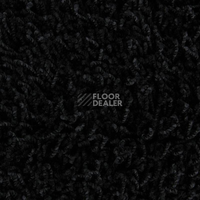 Ковролин Edel Vivaldi 199 фото 1 | FLOORDEALER