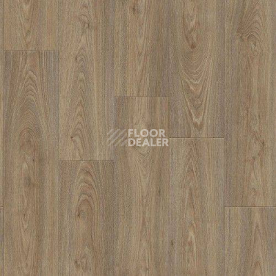 Линолеум Tarkett Grand IRVING 2 фото 1 | FLOORDEALER