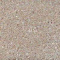 Ковролин Hidden Treasure Beaulie of America Haze 08 фото 1 | FLOORDEALER