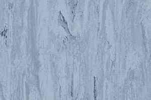 Линолеум Mipolam Robust El7 0112 фото  | FLOORDEALER