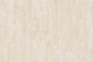 Линолеум Tarkett Evolution Vancouver 4 фото  | FLOORDEALER