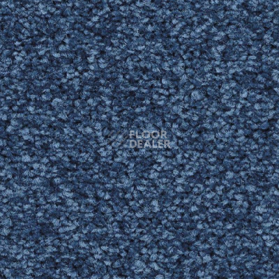 Ковролин Balsan First Class 190 фото 1 | FLOORDEALER