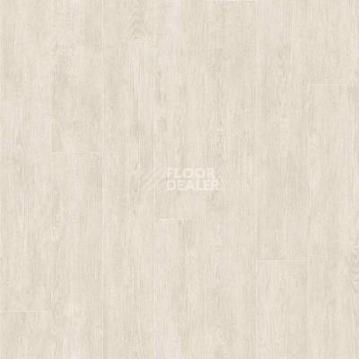 Линолеум Tarkett Evolution Vancouver 4 фото 1 | FLOORDEALER