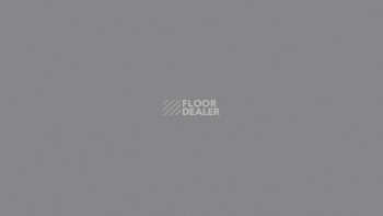 Линолеум Tarkett Omnisports Action 65 Field_Grey фото 1 | FLOORDEALER