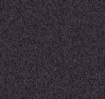 Ковролин Vorwerk Viola 5t68 фото 1 | FLOORDEALER