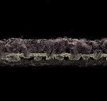 Balsan Progression 890 фото 3 | FLOORDEALER