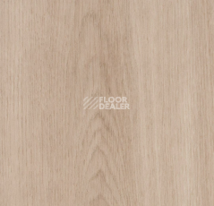 Кварцвиниловые полы Forbo allura decibel 0.8 wood 5303AD8 dune smooth oak (120x20 cm) фото 1 | FLOORDEALER