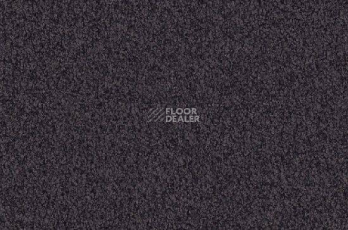 Ковролин Vorwerk Viola 5t68 фото 1 | FLOORDEALER