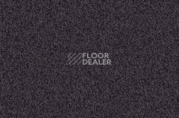 Ковролин Vorwerk Viola 5t68 фото 1 | FLOORDEALER