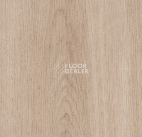 Кварцвиниловые полы Forbo allura decibel 0.8 wood 5303AD8 dune smooth oak (120x20 cm) фото 1 | FLOORDEALER
