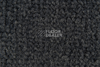 Balsan Les Best S 993 фото 2 | FLOORDEALER