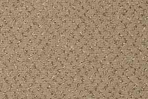 Ковролин Vorwerk Passion 1047 Vorwerk 8j80 фото  | FLOORDEALER