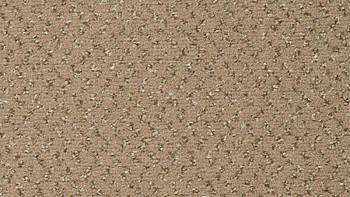 Ковролин Vorwerk Passion 1047 Vorwerk 8j80 фото 1 | FLOORDEALER