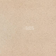 Линолеум Grabo Terrana Top Extra 4264-251 фото 1 | FLOORDEALER