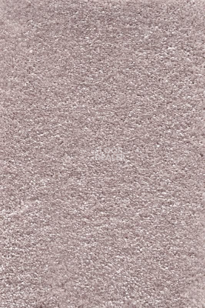 Ковролин AW Promenade 41 фото 1 | FLOORDEALER