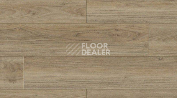 Кварцвиниловые полы Gerflor Creation 55 Clic 0488_caldwell фото 1 | FLOORDEALER