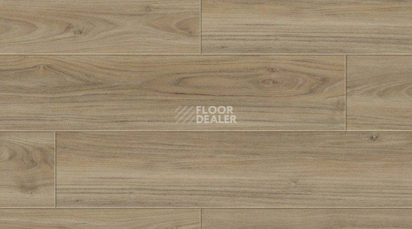 Кварцвиниловые полы Creation 55 Clic 0488_caldwell фото 1 | FLOORDEALER
