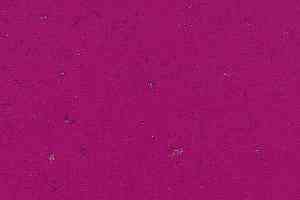 Кварцвиниловые полы Forbo Allura Colour C68033 фото  | FLOORDEALER