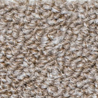 Ковролин Salisbury Beaulieu of America 006 фото 1 | FLOORDEALER