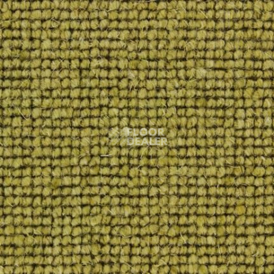 Ковролин Edel Centre Point 334 фото 1 | FLOORDEALER