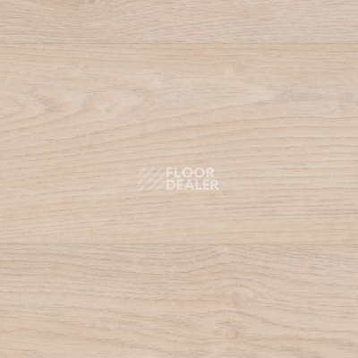 Линолеум Taralay Initial Compact (wood) 0797 Habana Ivory фото 1 | FLOORDEALER