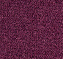 Ковролин Balsan Les Best 599 фото 1 | FLOORDEALER