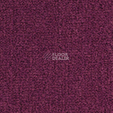 Ковролин Balsan Les Best 599 фото 1 | FLOORDEALER