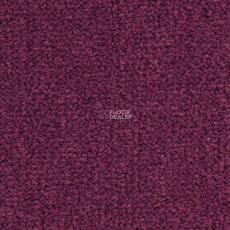 Balsan Les Best 599 фото 1 | FLOORDEALER