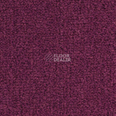 Ковролин Balsan Les Best 599 фото 1 | FLOORDEALER