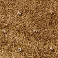 Ковролин Condor Carpets Africa 159 фото 1 | FLOORDEALER