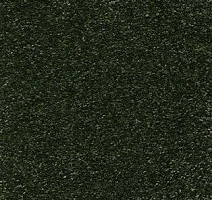 Ковролин AW Trillion 24 фото 1 | FLOORDEALER