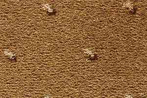 Ковролин Condor Carpets Africa 159 фото  | FLOORDEALER