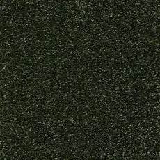 Ковролин AW Trillion 24 фото 1 | FLOORDEALER