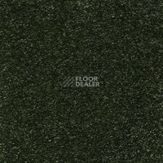 Ковролин AW Trillion 24 фото 1 | FLOORDEALER