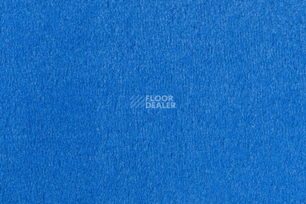 Ковролин Vorwerk Passion 1000/Modena Vorwerk 3n56 фото 1 | FLOORDEALER