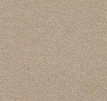 Ковролин AW Confidence 34 фото 1 | FLOORDEALER